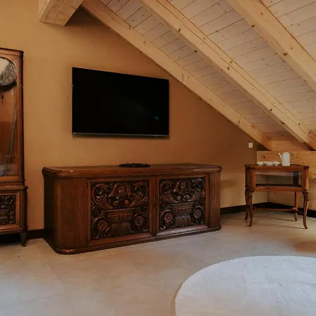 Hotel Podhlavicky Mlyn 5*